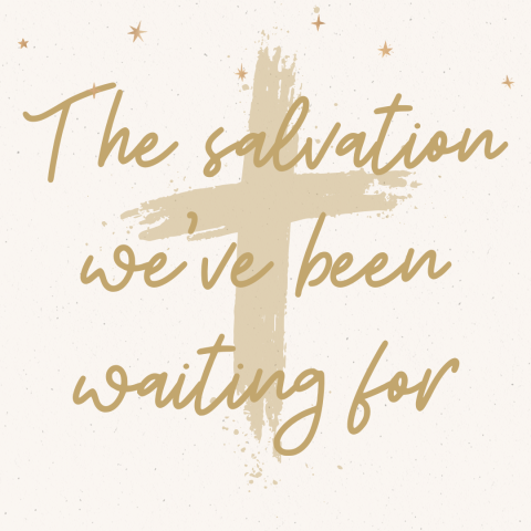 The salvation we’ve been waiting for – Luke 2:22-40