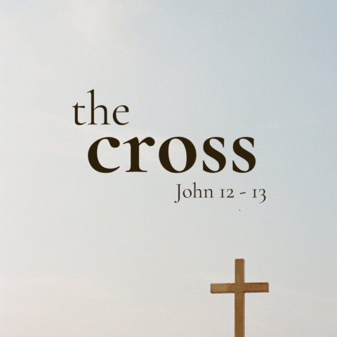 The Cross (1) – John 12:27-36